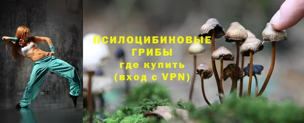 ГАЛЛЮЦИНОГЕННЫЕ ГРИБЫ Балахна