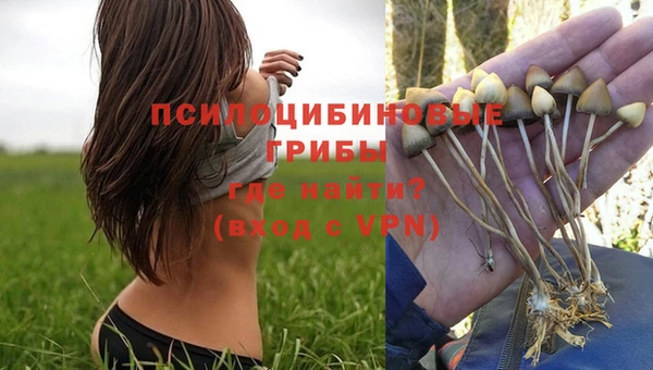 ГАЛЛЮЦИНОГЕННЫЕ ГРИБЫ Балахна