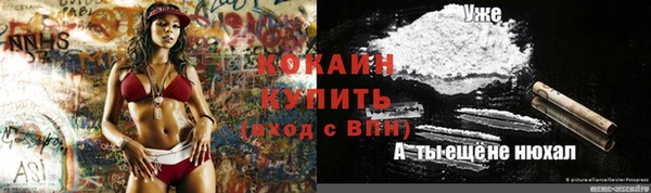 ГАЛЛЮЦИНОГЕННЫЕ ГРИБЫ Балахна