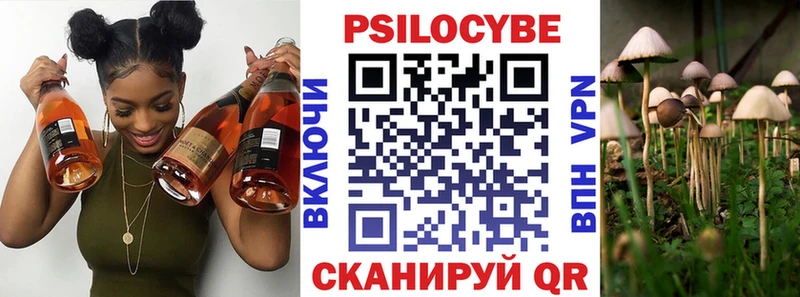 Галлюциногенные грибы Psilocybe  Саратов 